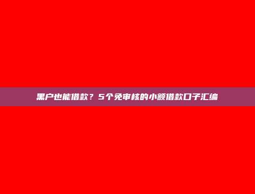 黑户也能借款？5个免审核的小额借款口子汇编