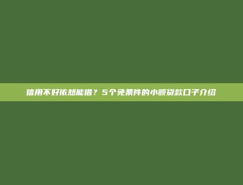 信用不好依然能借？5个免条件的小额贷款口子介绍