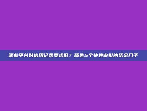 哪些平台对信用记录要求低？精选5个快速审批的资金口子