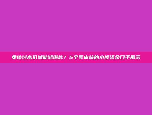 负债过高仍然能够借款？5个零审核的小额资金口子展示