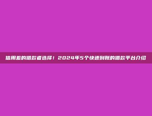 信用差的借款者选择！2024年5个快速到账的借款平台介绍