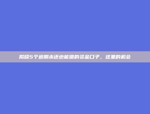 揭晓5个逾期未还也能借的资金口子，这里的机会