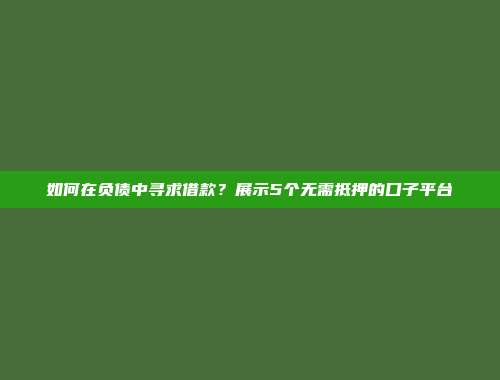 如何在负债中寻求借款？展示5个无需抵押的口子平台