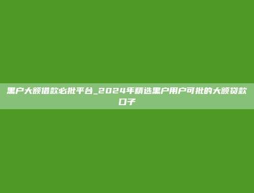 黑户大额借款必批平台_2024年精选黑户用户可批的大额贷款口子