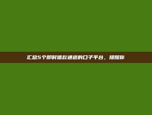 汇总5个即时借款通道的口子平台，提醒你