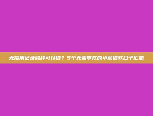 无信用记录照样可以借？5个无需审核的小额借款口子汇总