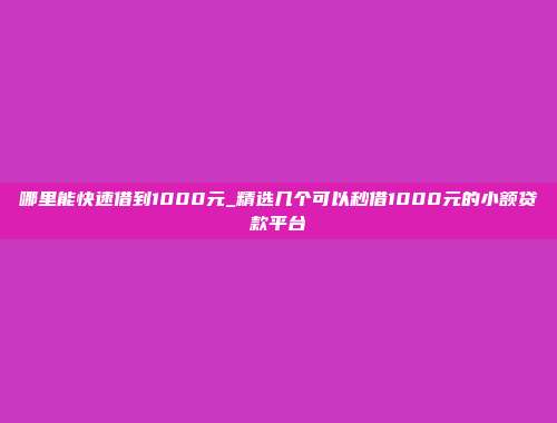 哪里能快速借到1000元_精选几个可以秒借1000元的小额贷款平台