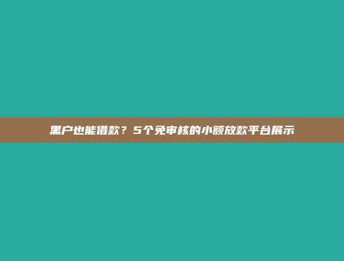 黑户也能借款？5个免审核的小额放款平台展示