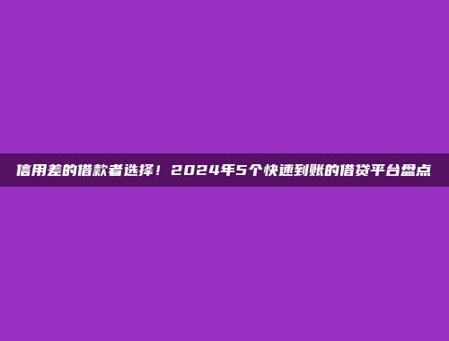 信用差的借款者选择！2024年5个快速到账的借贷平台盘点