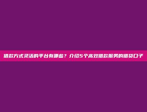 借款方式灵活的平台有哪些？介绍5个高效借款服务的借贷口子