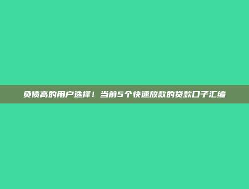 负债高的用户选择！当前5个快速放款的贷款口子汇编