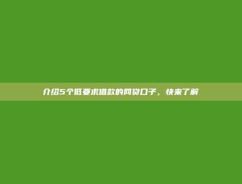 介绍5个低要求借款的网贷口子，快来了解