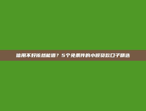 信用不好依然能借？5个免条件的小额贷款口子精选