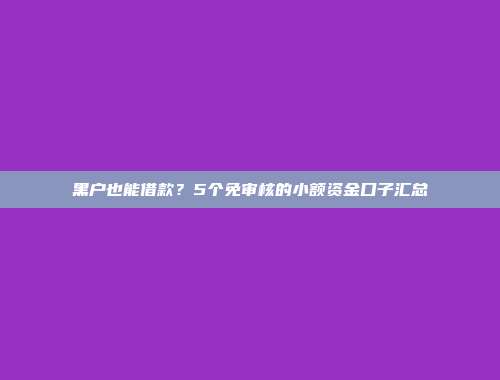 黑户也能借款？5个免审核的小额资金口子汇总