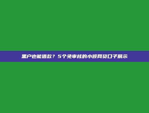 黑户也能借款？5个免审核的小额网贷口子展示