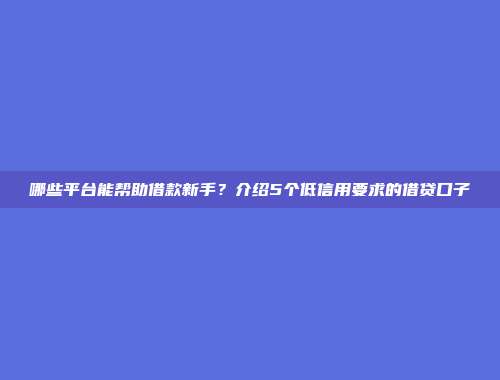 哪些平台能帮助借款新手？介绍5个低信用要求的借贷口子