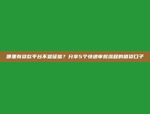 哪里有贷款平台不查征信？分享5个快速审批流程的借贷口子