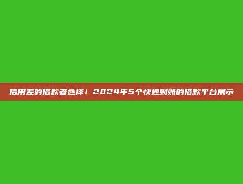 信用差的借款者选择！2024年5个快速到账的借款平台展示