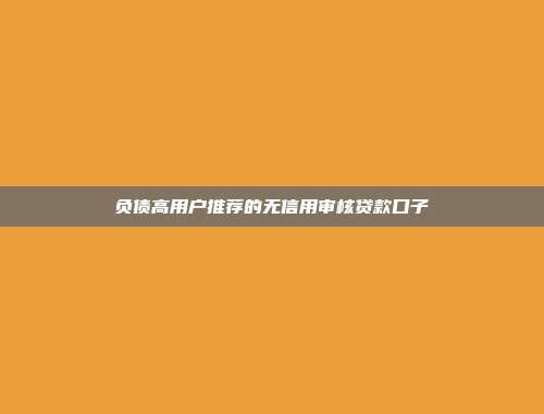 负债高用户推荐的无信用审核贷款口子