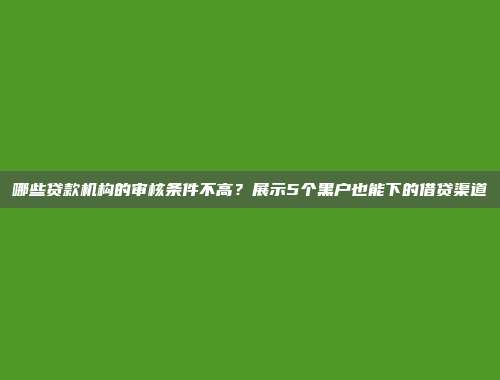 哪些贷款机构的审核条件不高？展示5个黑户也能下的借贷渠道