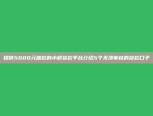 提供5000元借款的小额贷款平台介绍5个无须审核的贷款口子