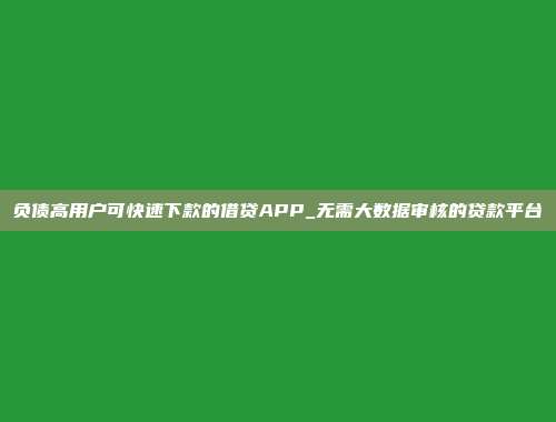 负债高用户可快速下款的借贷APP_无需大数据审核的贷款平台