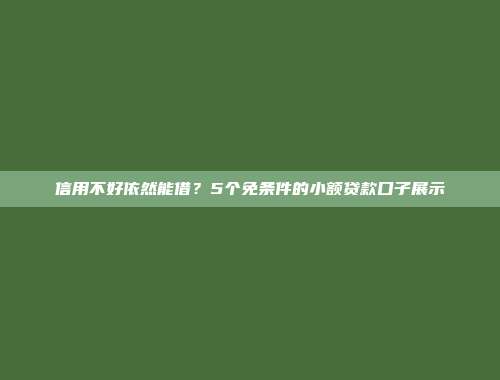 信用不好依然能借？5个免条件的小额贷款口子展示