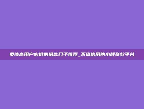 负债高用户必批的借款口子推荐_不查信用的小额贷款平台