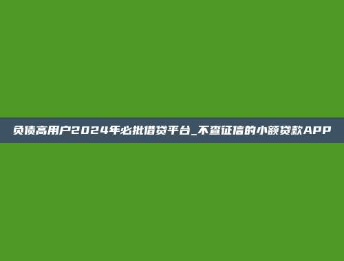 负债高用户2024年必批借贷平台_不查征信的小额贷款APP