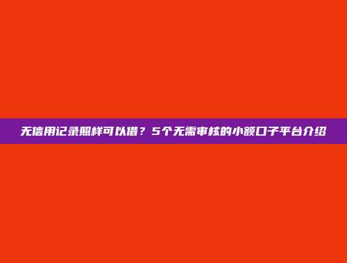 无信用记录照样可以借？5个无需审核的小额口子平台介绍