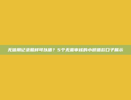 无信用记录照样可以借？5个无需审核的小额借款口子展示