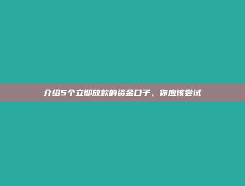 介绍5个立即放款的资金口子，你应该尝试