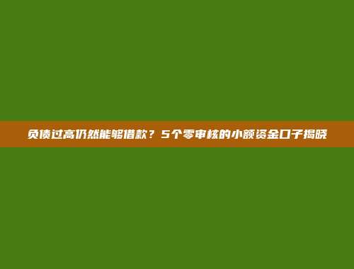 负债过高仍然能够借款？5个零审核的小额资金口子揭晓